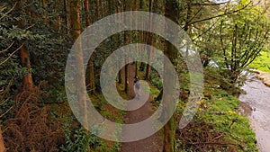 Man cycling on a pathway in forest 4k