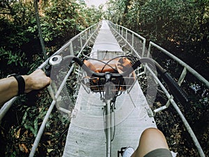 Man is cycling with Vintage camera bag on basket in the natural path with sunlight at Bang Krachao the Green Lung of Bangkok,