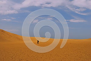 Man in desert