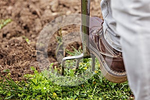 Man is digging with a gardening fork in his garden