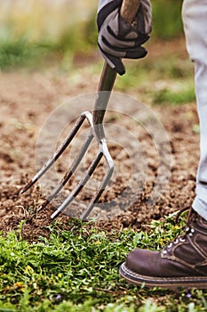 Man is digging with a gardening fork in his garden