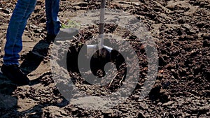 A man is digging a hole in the garden. Selective focus.