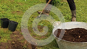 A man is digging a hole in the garden to plant a fruit tree. The concept of planting green plants and agriculture