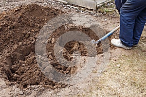 man digging a hole for planting a fruit tree in the garden