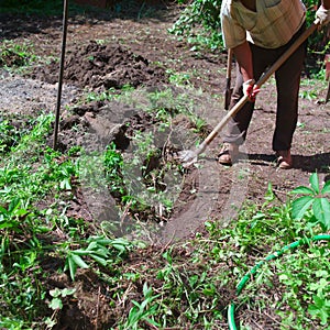 Man digging the soil with spud