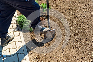 Man is digging spring soil with spading fork. Work in a garden