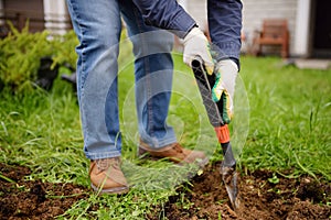 Man diging holes a shovel for planting juniper plants in the yard or garden. Landscape design