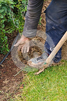 Man digs a hole to plant a tree