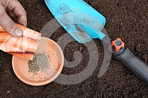 man digs out carrot seeds to sow on a plate . shovel and seeds to grow in vegetable garden