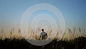 Man Disappearing in Blowing Grass Silhouette.