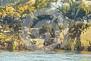 Man diver without a hand set out to dive near island