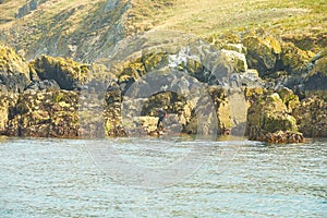 Man diver without a hand set out to dive near island