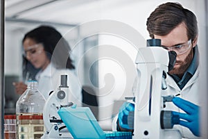 Man, doctor and forensic science with microscope for examination, experiment or test at the laboratory. Male scientist