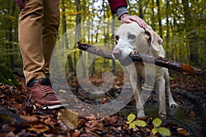 Man with dog in autumn forest