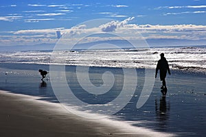 Man and Dog on Beach