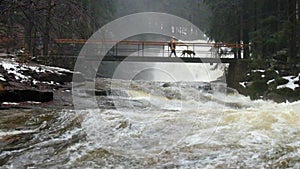 Man with dog on bridge over troubled water. Huge stream of rushing water masses below small footbridge. Fear of floods.