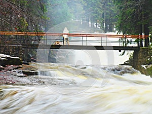 Man with dog on bridge over troubled water. Huge stream of rushing water masses below small footbridge. Fear of floods.