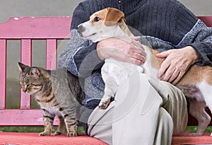 Man with dog and cat