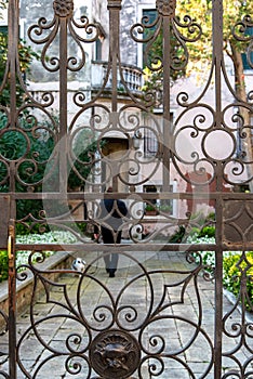 Man with Dog going for a walk, view through an Iron Gate, Venice