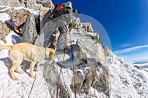 Man and dog labrador hike the cloudy mountains