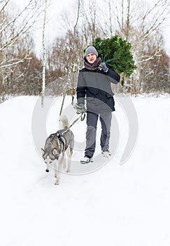 Man with dog on a leash walking in snowy pine forest in winter with Christmas tree in hands