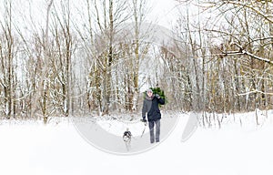 Man with dog on a leash walking in snowy pine forest in winter with Christmas tree in hands