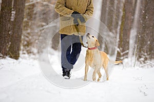 Man with dog walks in snowy forest