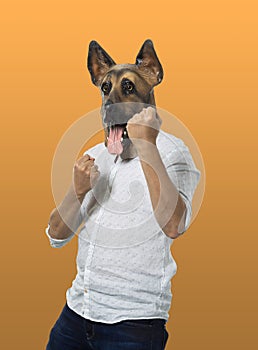 Man in Dog Mask in Fighting Stance
