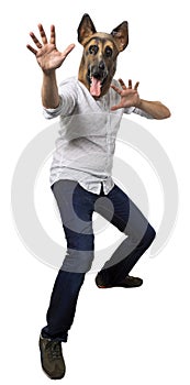 Man in Dog Mask in Superhero Fight Stance Towards Camera