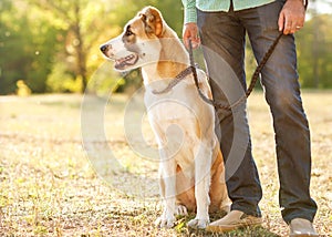 Uomo un il cane nel parco 