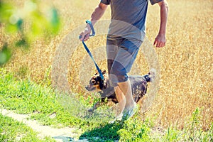 A man with a dog runs through the oat field