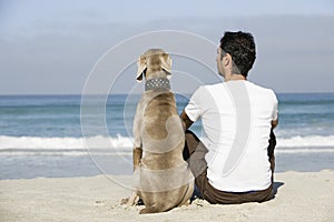 Man And Dog Sitting On Beach