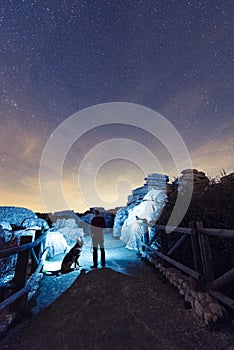 Man and dog skywatching in dark mountains photo