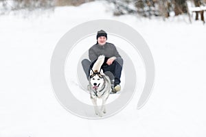 Man in dog sledding travel across snow field