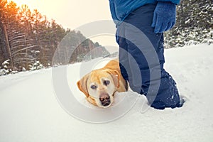 A man with a dog stands in deep snow