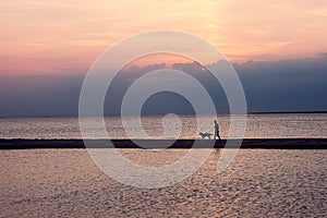 Man with dog on sunset background. St. Petersburg. Russia. radiance of lights, panorama of the city. landscape, on the background