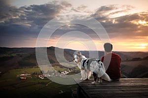 A man with a dog at sunset. walk with a pet. Australian Shepherd and owner in nature