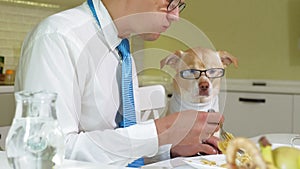 The man with the dog at the table is eating. Friendship of man and pet. Businessmen concept