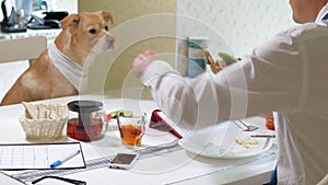 The man with the dog at the table is eating. Friendship of man and pet. Businessmen concept