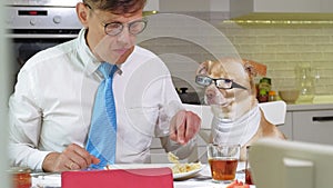 The man with the dog at the table is eating. Friendship of man and pet. Businessmen concept