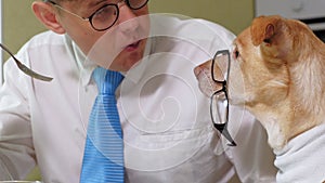 The man with the dog at the table is eating. Friendship of man and pet. Businessmen concept