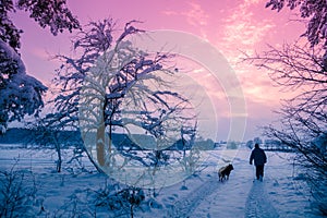 A man with a dog walking on a snow covered road