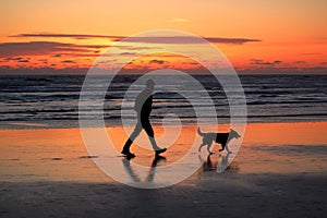 Uomo un il cane sul tramonto 