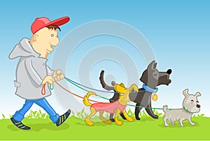 Man walking dogs