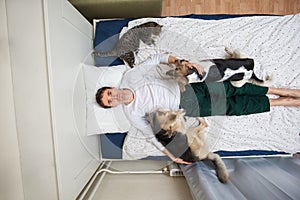 Man dogs and cat lying on bed with blue sheet