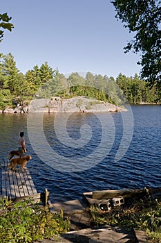 Man, Dogs on dock