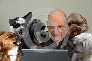 Man and dogs in homeoffice Everyone wants to have a loud say