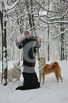 Man and dogs in the snow