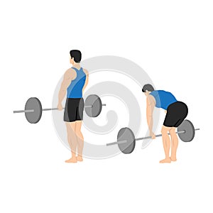 Man doing barbell stiff leg deadlift exercise.