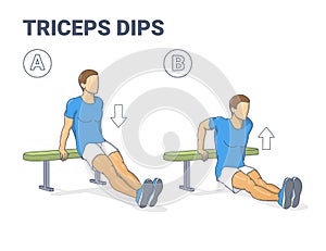 Man Doing Bench Triceps Dips. Workout Exercise Guide. Colorful Concept Guy Working on His Triceps.